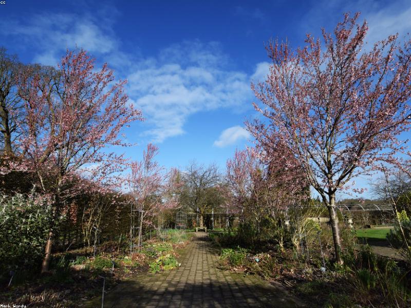 Ankawa Valley Cottage