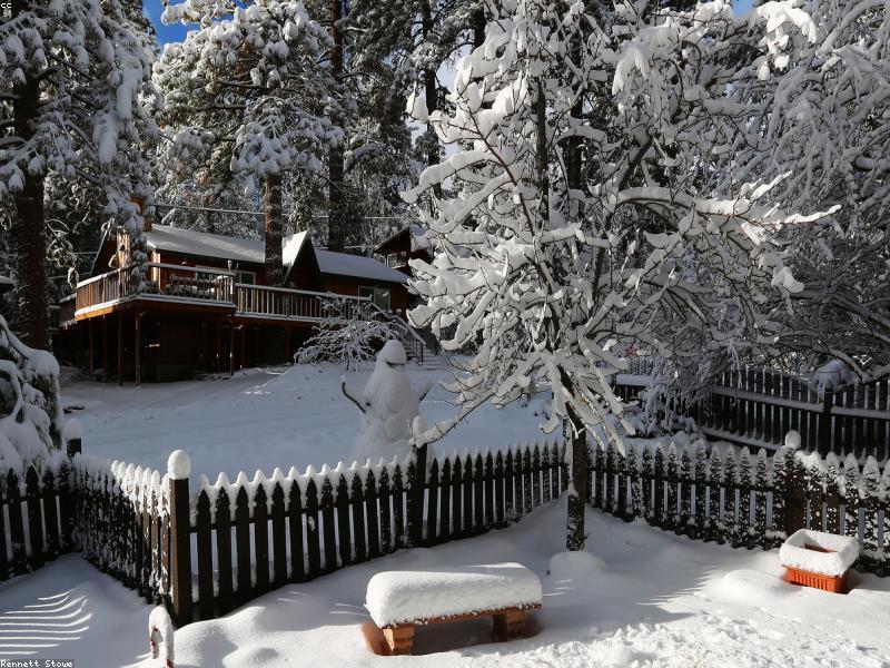 Forest Retreat Cabin Zakho