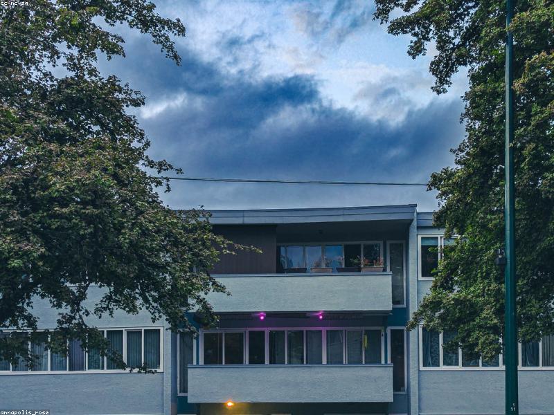 Sadr City Cozy Corner