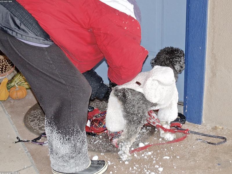 Baiji Heights Apartment