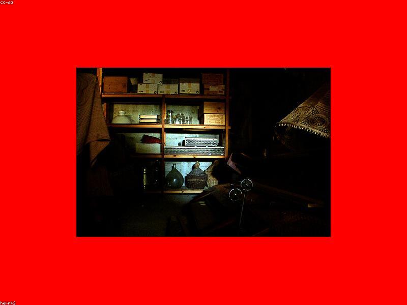 Sadr City Organic Farm Stay - Vineyard Cabin