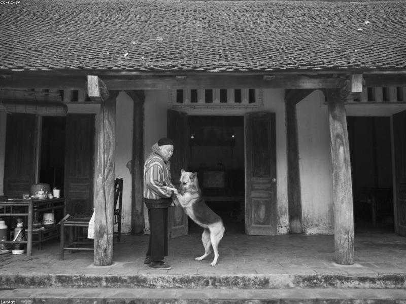 Duhok City Mountain Retreat - Family Cottage