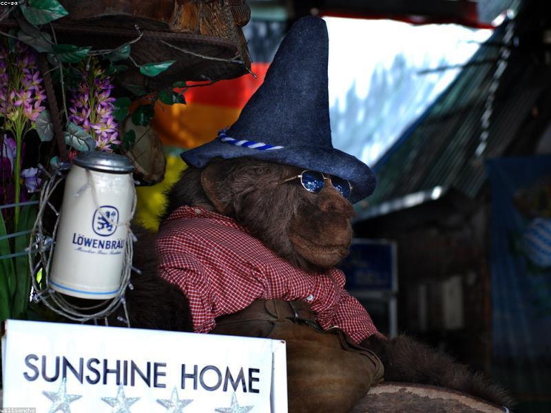 The Hub Hostel Tuz Khurmatu - 10-Bed Dorm