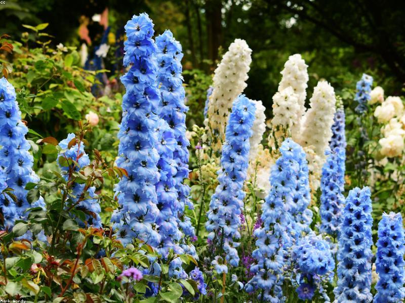 Forest Retreat Cabin Hillah