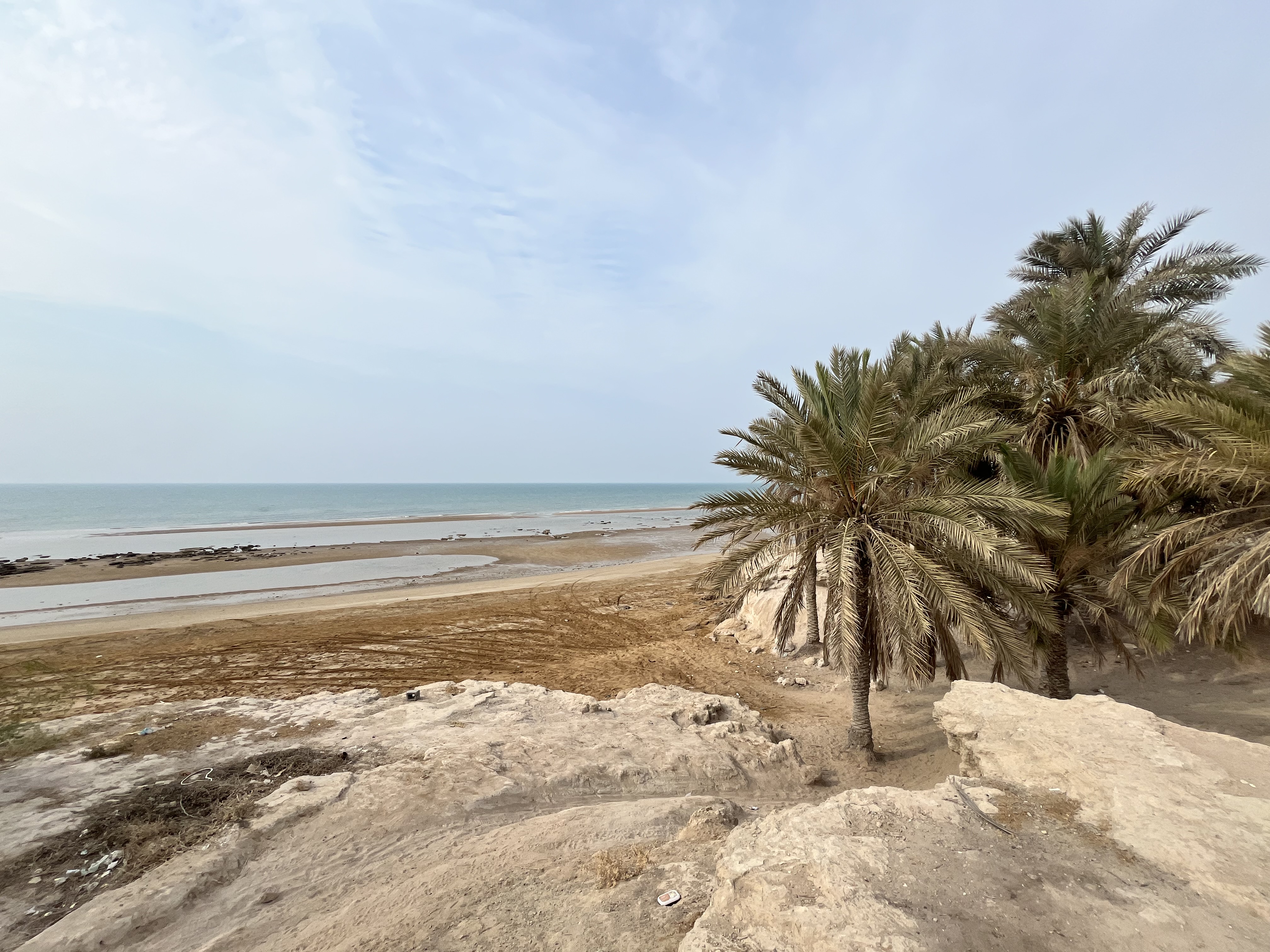 Boomgardi - Boom share