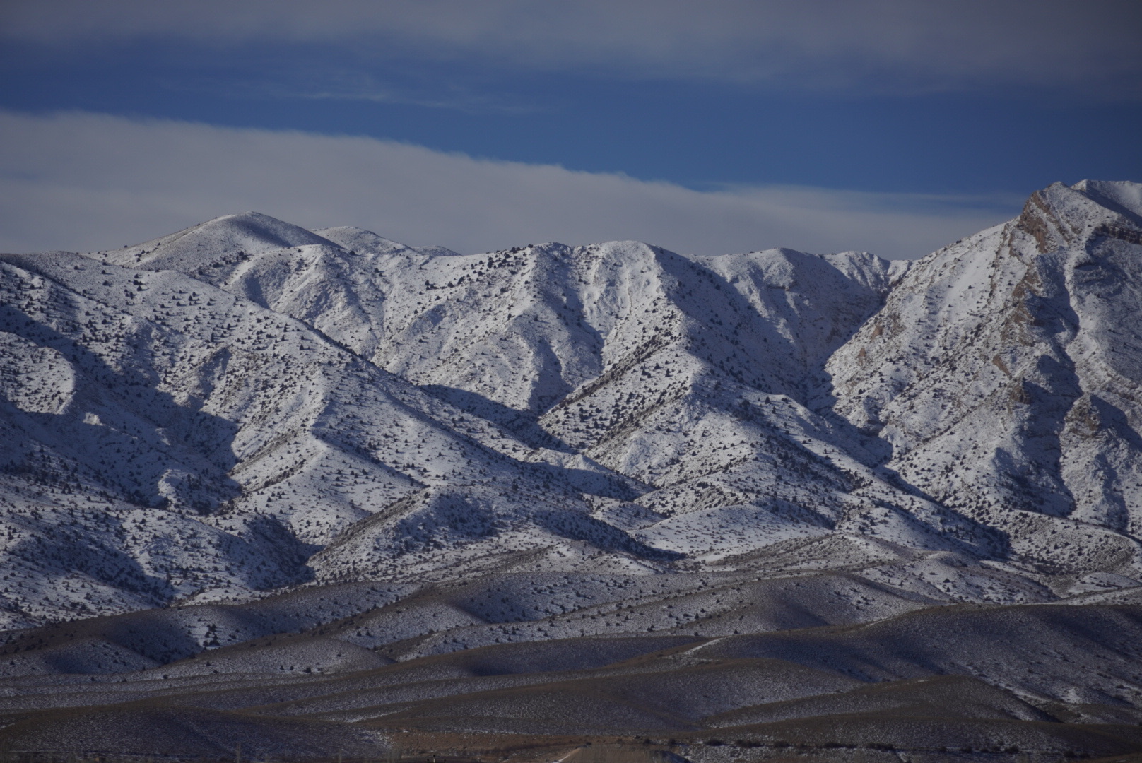 Boomgardi - Boom room